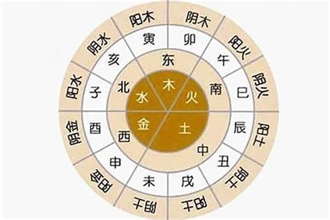 眼睛五行|八字解析“眼睛”五行属性（一）